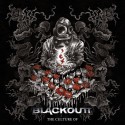 Blackoutt - The culture of